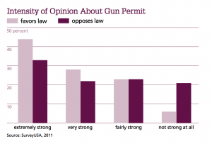 Intensity of Opinion About Gun Permit