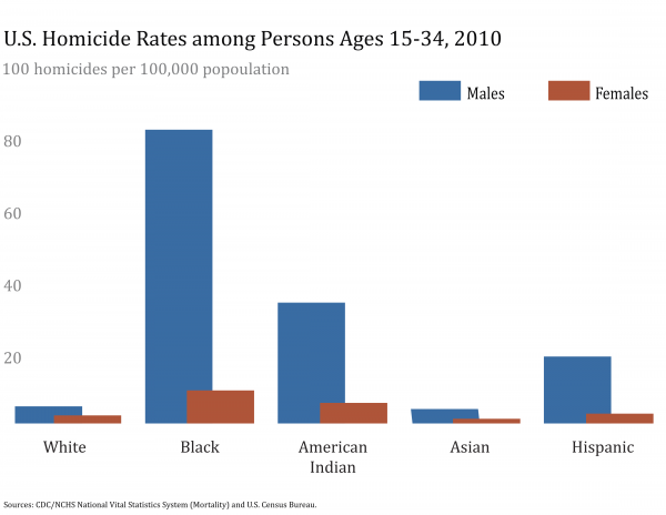 2010 Youth Homicide Rates by Race