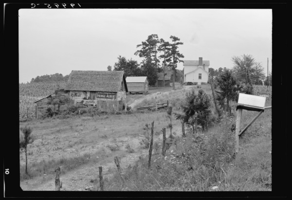 General view of a hillside farm which faces the road showing owner's house, outbuildings, and tobacco field howing erosion. The Negro sharecropper farm is on the other side of this same hill. Person County, North Carolina.