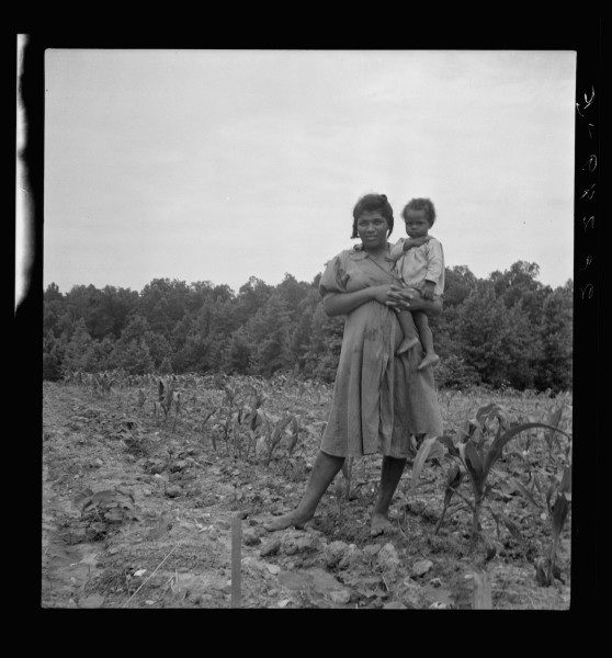 Wife and child of young sharecropper in cornfield beside house. Hillside Farm. Person County, North Carolina.