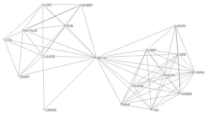 Figure 2. Betsy's Friendship Network: A Compartmentalizer.